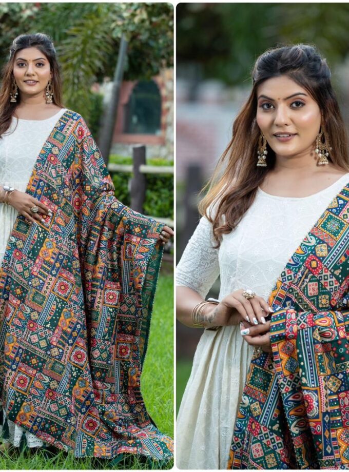 White Lucknowi Chikankari Cotton Gown With Foil Print Dupatta
